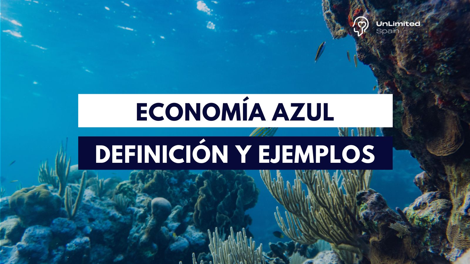 La Economía Azul Y Su Alcance